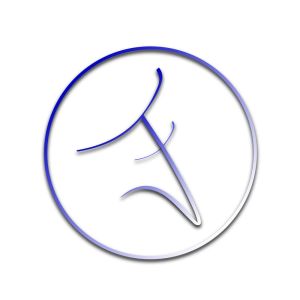 Trivision Financial Logo