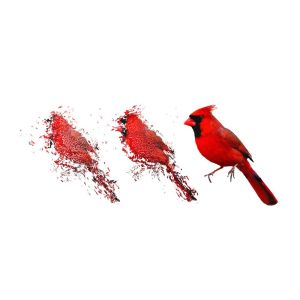 bird4
