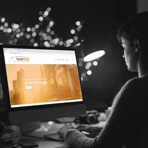 Photographer viewing pictures on the computer