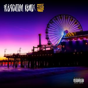 Flexicution_Remix_Art