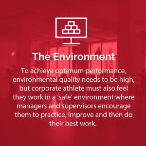 The_Environment